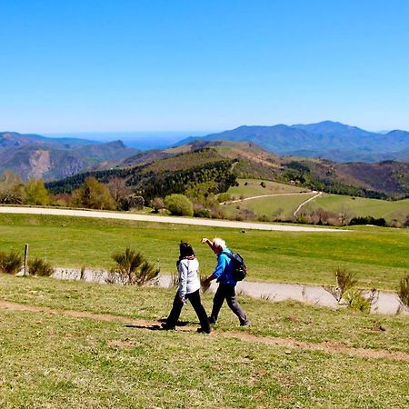 Naturaleza Y Aire Puro En El Pirineo Oriental En Una Bonita Casa Rural De Piedra Prats-de-Mollo-la-Preste Extérieur photo