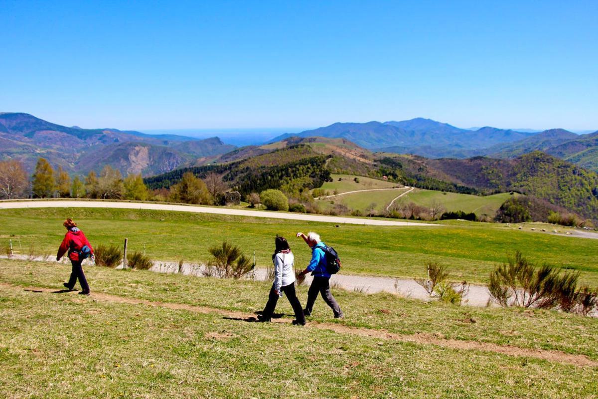 Naturaleza Y Aire Puro En El Pirineo Oriental En Una Bonita Casa Rural De Piedra Prats-de-Mollo-la-Preste Extérieur photo