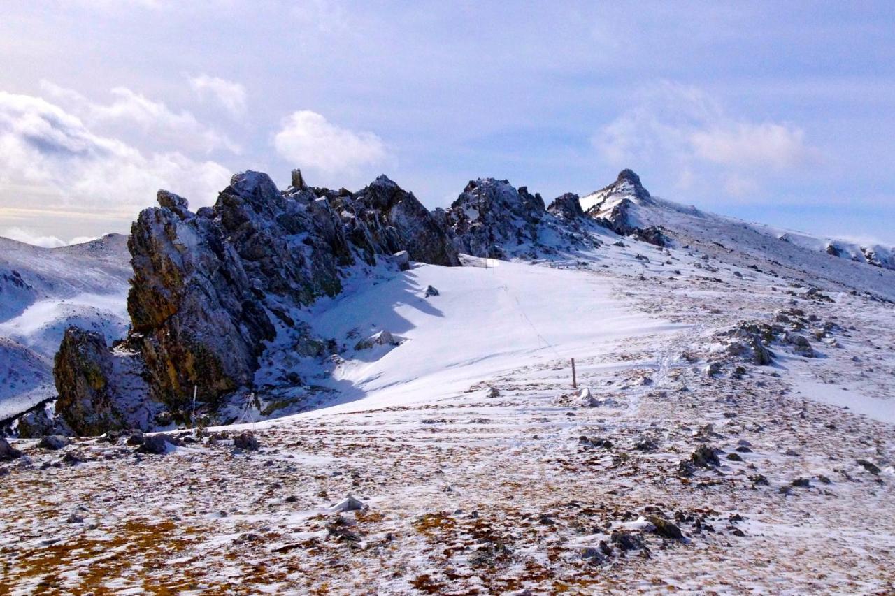 Naturaleza Y Aire Puro En El Pirineo Oriental En Una Bonita Casa Rural De Piedra Prats-de-Mollo-la-Preste Extérieur photo