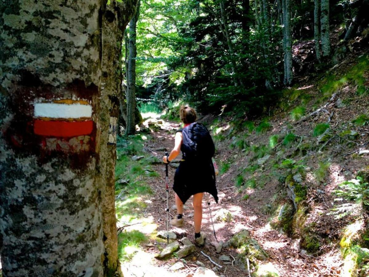 Naturaleza Y Aire Puro En El Pirineo Oriental En Una Bonita Casa Rural De Piedra Prats-de-Mollo-la-Preste Extérieur photo