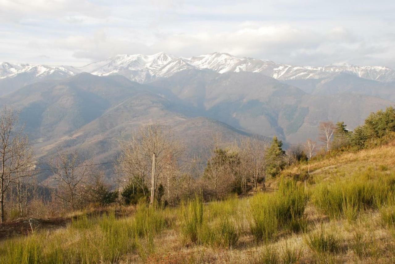 Naturaleza Y Aire Puro En El Pirineo Oriental En Una Bonita Casa Rural De Piedra Prats-de-Mollo-la-Preste Extérieur photo
